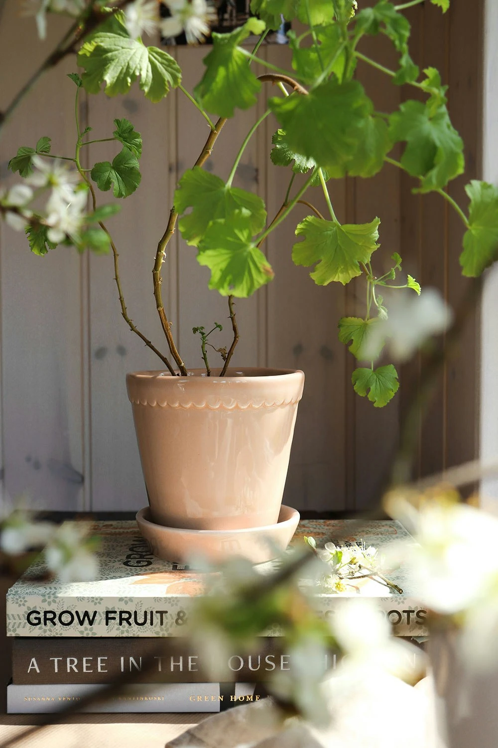 Bergs Potter Helena Topf Quartz Rose, 18 Cm – Bild 5